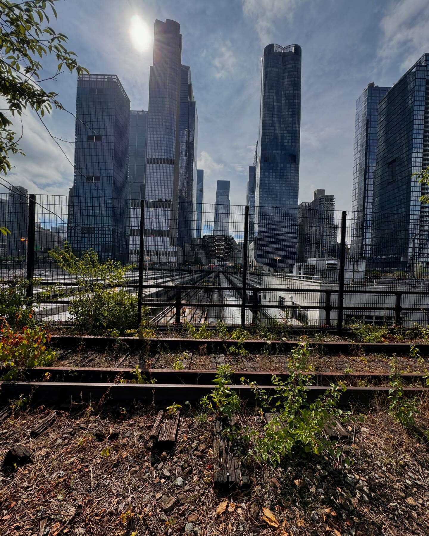 New York walking