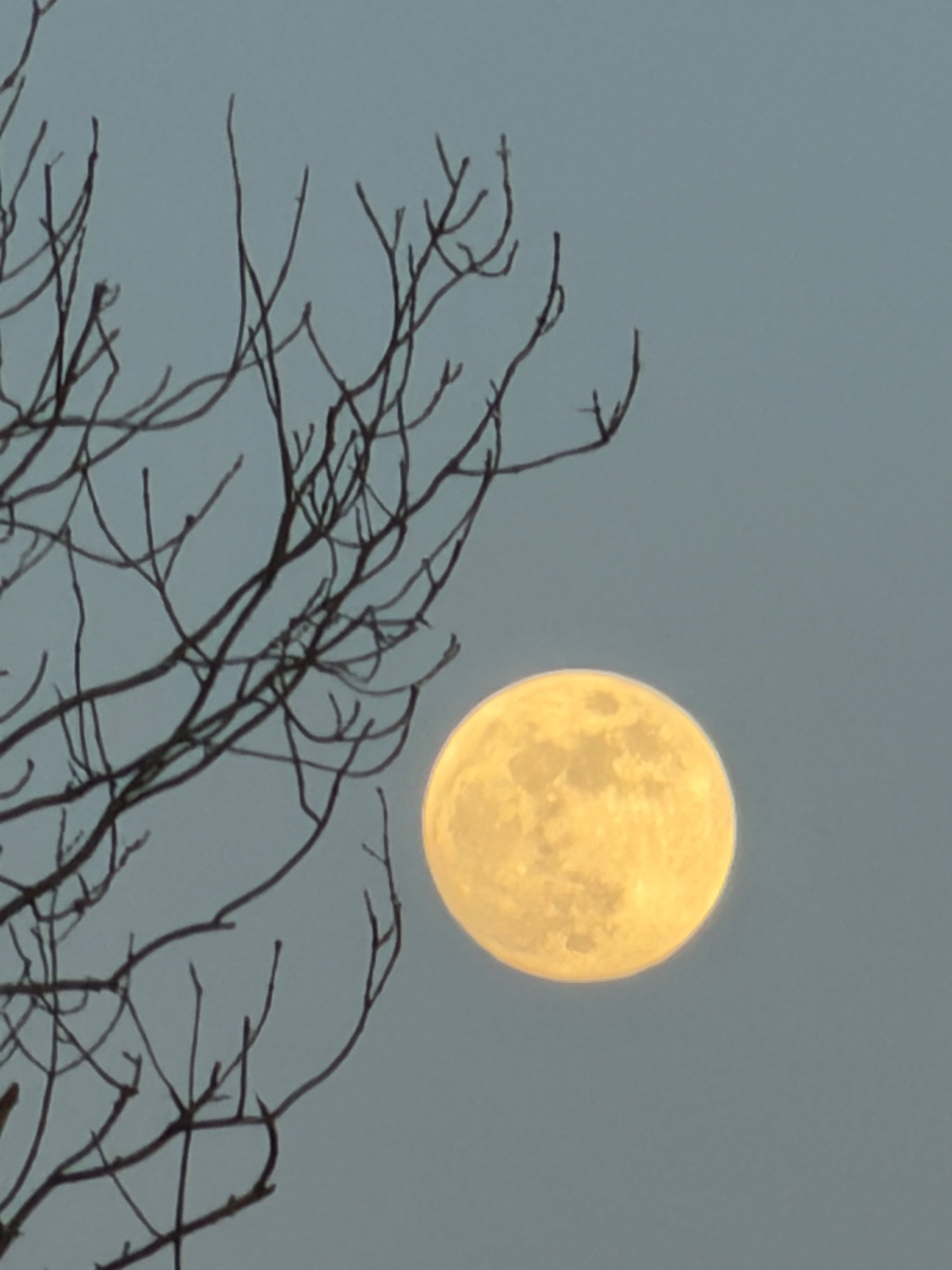 #moon