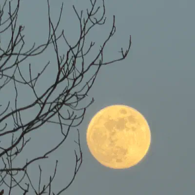 #moon