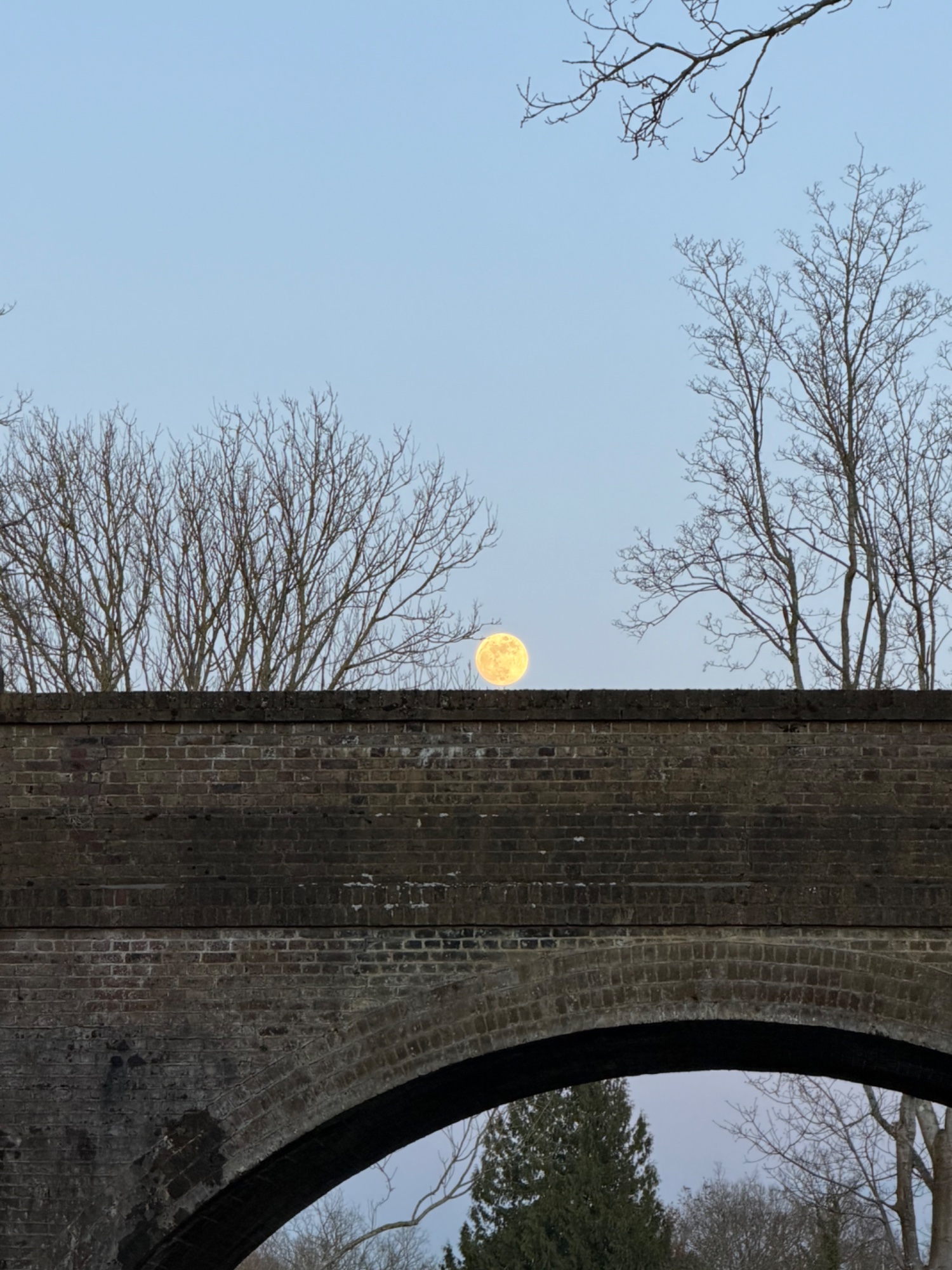 #moon