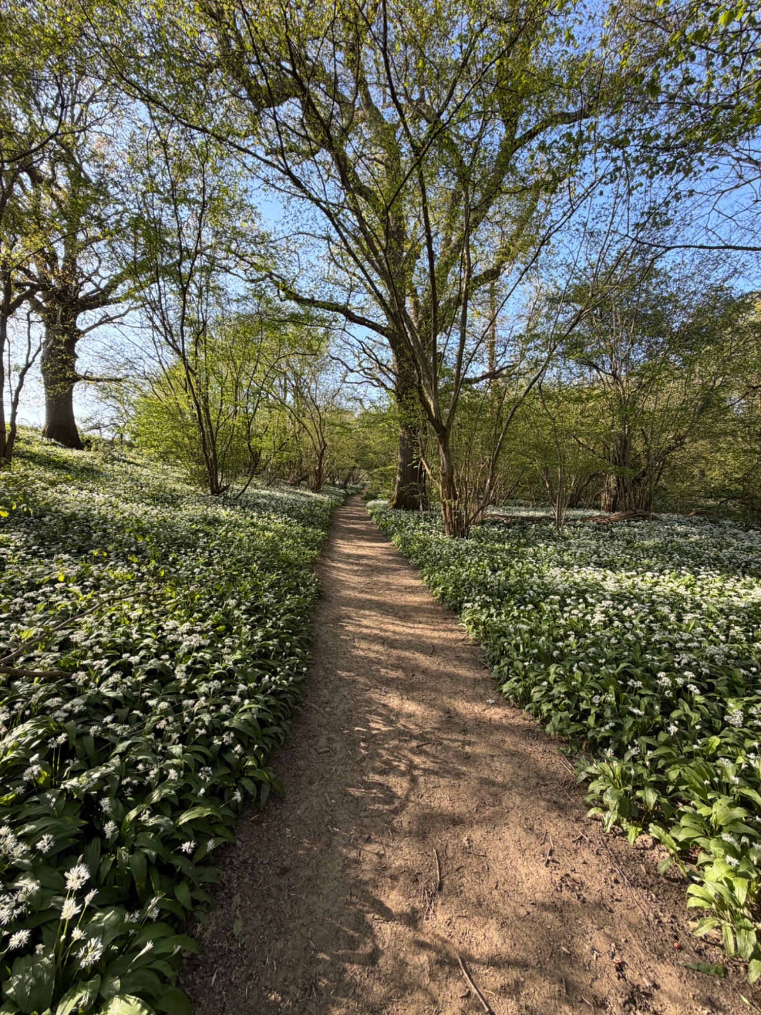It’s good to walk