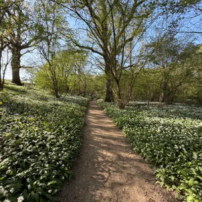 It’s good to walk